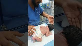 newborn baby 🥰🙏 shorts viral newborn baby cute cryingtime shortsfeed ytshorts fyp kids [upl. by Willa]