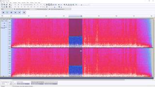 How to enable Spectrogram in Audacity [upl. by Truk]