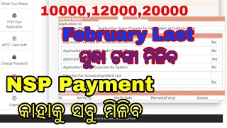 nsp scholarship payment datehow much will be creditedverification will be completed soon by dept [upl. by Eiralav]