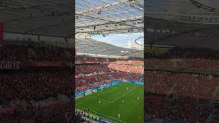 Leverkusens SVB  Wechselgesang gegen Frankfurt football soccer sports [upl. by Sidnee]