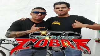 SONIDO LA COBRA DE SILAO GTO [upl. by Annerb]