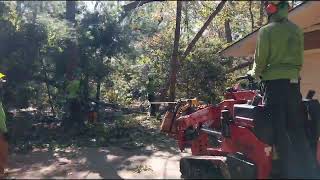 Storm Damaged Tree Removal in Asheville nc [upl. by Alita362]