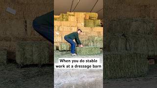 When you work at a dressage barn… [upl. by Nodearb]