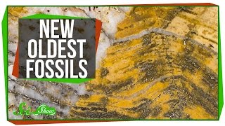 The Oldest Fossils Ever Found [upl. by Ailak]