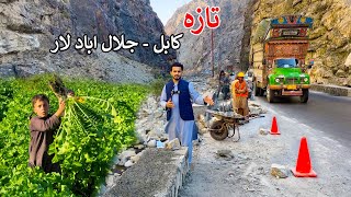 Kabul  Jalalabad Highway update  Sarobi  د کابل جلال اباد لویې لارې تازه حال [upl. by Marisa]