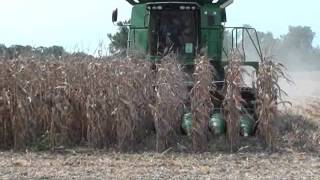 Geringhoff Rota Disc at Virgina Field Day [upl. by Landmeier]