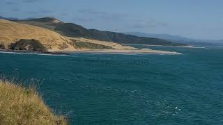 Hokianga New Zealand [upl. by Ahtnams]