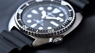 Top 10 Best Seiko Watches IN 2024  New Seiko Watches 2024 [upl. by Williamson]