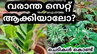 ചെടികൾ കൊണ്ട് വീട് പൊളിയാക്കാം plants decoration indoorplants aglonima spiderplant rearranging [upl. by Kevina]