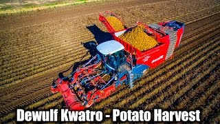 Dewulf Kwatro  Potato Harvest [upl. by Bing893]