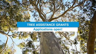 Tree Assistance Grant  Applications Open [upl. by Netsirt265]