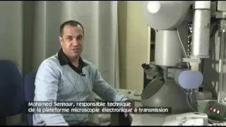 Présentation technique du microscope électronique en transmission [upl. by Egbert]