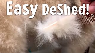 Easiest way to DESHED Any DOG at Home [upl. by Ashmead]