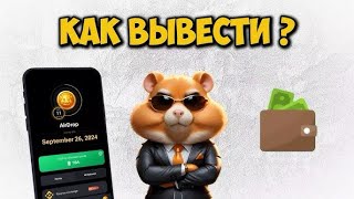 КАК ВЫВЕСТИ ДЕНЬГИ HAMSTER KOMBAT ЕСЛИ НЕ УСПЕЛ ПРИВЯЗАТЬ КОШЕЛЕК айрдроп [upl. by Noland541]