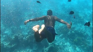 Snorkeling and swimming with dolphins  Mnemba Island Zanzibar Tanzania [upl. by Bryna126]