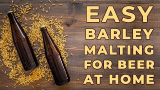 How to Malt Barley at Home  Homemade Beer Recipe  Homebrew India [upl. by Valera745]