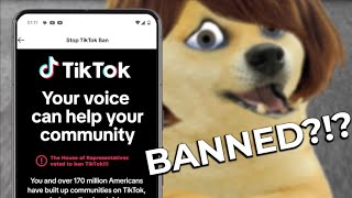 Lil doge and the TikTok ban [upl. by Jamille]