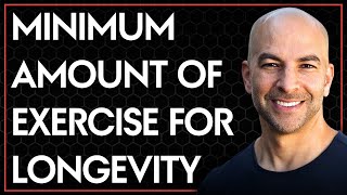 The minimum effective training for the four pillars of longevity  Peter Attia [upl. by Illona]