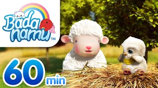 🐧Jess and Curly Had a Farm  More Badanamu Songs Compilation  Nursery Rhymes amp Kids Songs [upl. by Biggs]