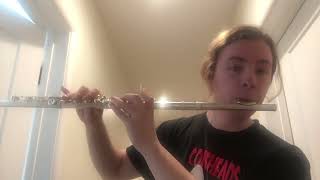 Littleroot Town Theme on Flute [upl. by Thesda]