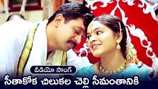 SEETHAKOKA CHILAKA LA CHELLI  SONG  PUTTINTIKI RA CHELLI  ARJUN  MADHUMITA  TELUGU CINE CAFE [upl. by Kir]