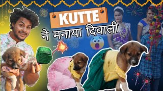 कुत्ते🐶मे मनाया Happy🎆Diwali  comedy diwalicomedy [upl. by Atekan]