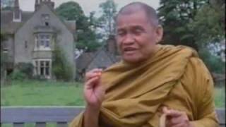 Compilation of Ajahn Chahs Teaching หลวงปู่ชา Ajahn Chah Theravada Buddhism [upl. by Puna]