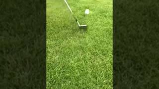 TaylorMade P790 Eisen im Test [upl. by Gorga]