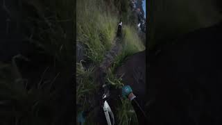 SeaViewTrail on Madeira Pt 5 🙏🏼madeira madeiraisland mtb biking endurotrail pov mtbpov [upl. by Teleya3]