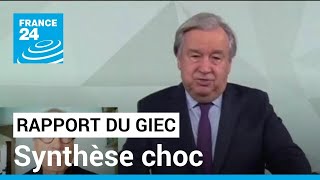 Rapport du Giec  la synthèse choc de lurgence climatique • FRANCE 24 [upl. by Robertson]