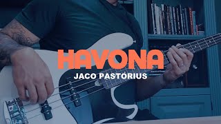 Havona  Jaco Pastorius  Bass Cover  Aleš Vychodil Jazz Bass [upl. by Elinnet]