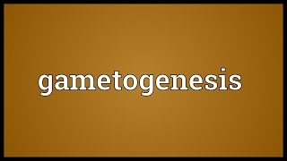 Gametogenesis Meaning [upl. by Herta864]