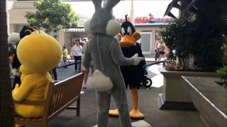 Daffy Duck copying Bugs Bunny at Movieworld [upl. by Chamberlain]