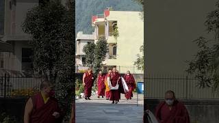 Drikung kagyu Rinchen ling Monastery peaceful place peaceful foryou naturelovers postivevibes [upl. by Aivila907]