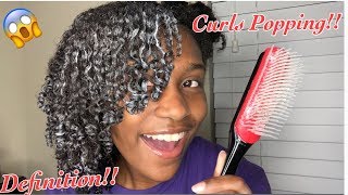 I Tried The DENMAN BRUSH For My Curls  I’m Shook [upl. by Nathanoj]