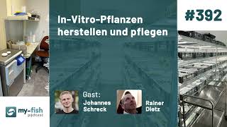 myfishorg  InVitroPflanzen herstellen amp pflegen – Nachhaltigkeit in der Aquaristik [upl. by Aivato]