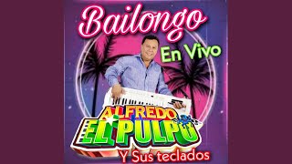 Matando Tabanos En Vivo [upl. by Ecnerual]