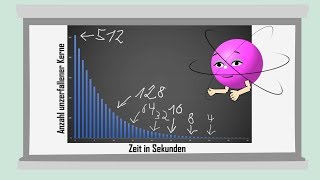 Halbwertszeit alte Version  einfach erklärt [upl. by Ardnuaek]