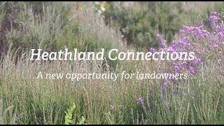 Heathland Connections  A new opportunity for landowners [upl. by Volin534]