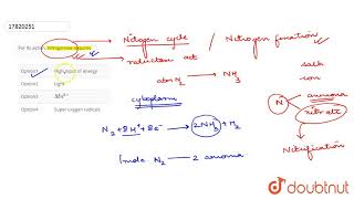 For its action nitrogenase requires [upl. by Anaihr]