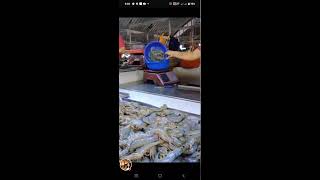 FRESH SEA FOOD NEWMARKET BATANGAS CITY SEAFOOD LIVESTREAM [upl. by Schug]