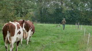 1 JOUR A LA FERME avec un éleveur laitier [upl. by Leahkim]