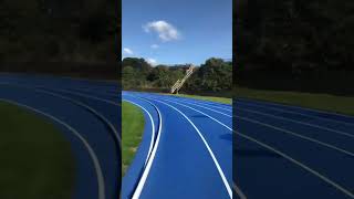 Iffley road running track trackandfield track run athletics sports [upl. by Selda]