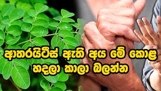 ආතරයිටීස් ඇති අය මේ කොළ හදලා කාලා බලන්න meditation arthritistreatment ayurveda [upl. by Odnumde]