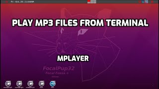 play mp3 files from puppy terminal mplayer setup [upl. by Ing]