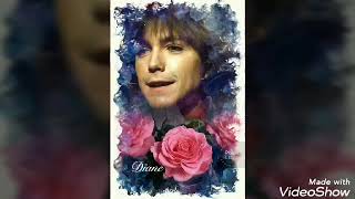 Daydreamer  David Cassidy [upl. by Hagood]