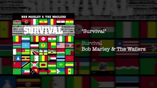 Survival 1979  Bob Marley amp The Wailers [upl. by Eidur]