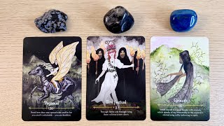 🔮💜What Are Their THOUGHTS About YOU amp The CONNECTION🪄💫 PICK A CARD Timeless Love Tarot Reading [upl. by Llebana89]