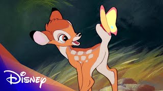 Bambi 80th Anniversary Compilation [upl. by Olegnaleahcim243]