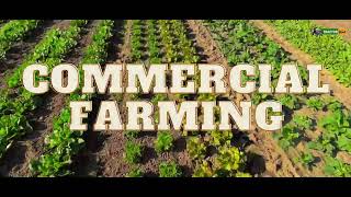 All Types Of Farming Explained 🚜 Farming FarmingTechnique Agriculture [upl. by Acillegna]